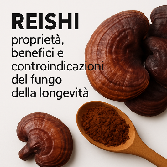 Reishi: proprietà, benefici e controindicazioni del fungo della longevità