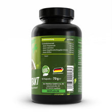 ZEC+ EXTRACTO DE TÉ VERDE 120 cápsulas 