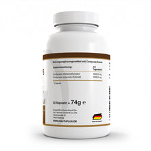 HEALTH+ CORDYCEPS SYNERGY 60 cápsulas