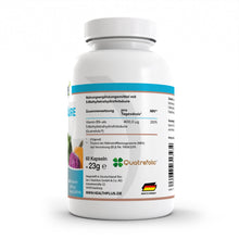 HEALTH+ ÁCIDO FÓLICO 60 cápsulas 