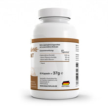 HEALTH+ EXTRACTO DE MELENA DE LEÓN 60 cápsulas 