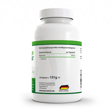 HEALTH+ MAGNESIO BISGLICINATO 120 cápsulas 