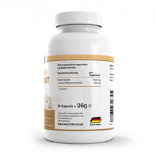 HEALTH+ REISHI 60 cápsulas 