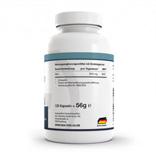 HEALTH+ ZINC BISGLICINATO 120 cápsulas 
