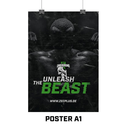 ZEC+ POSTER