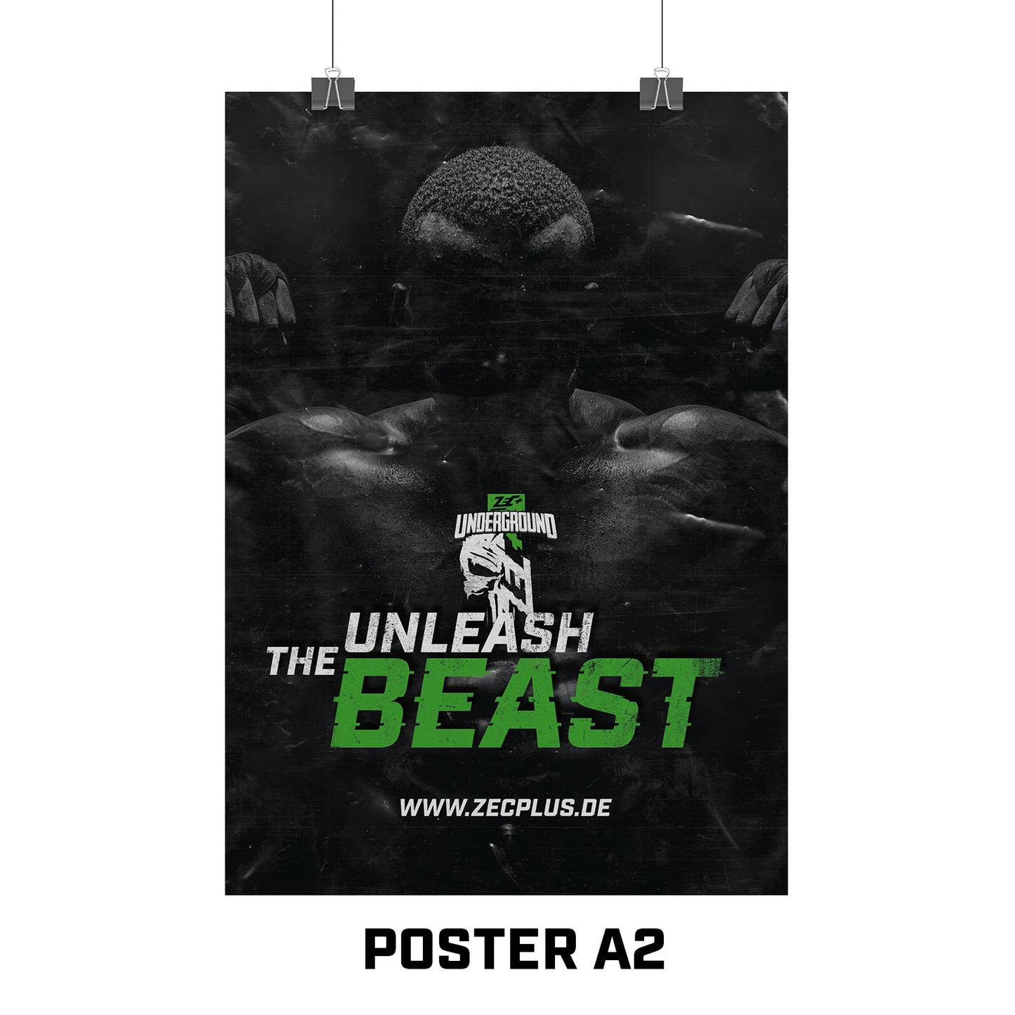 ZEC+ POSTER